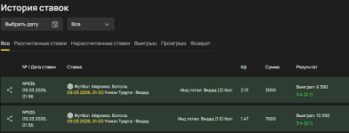 отчет первый по видаду.png